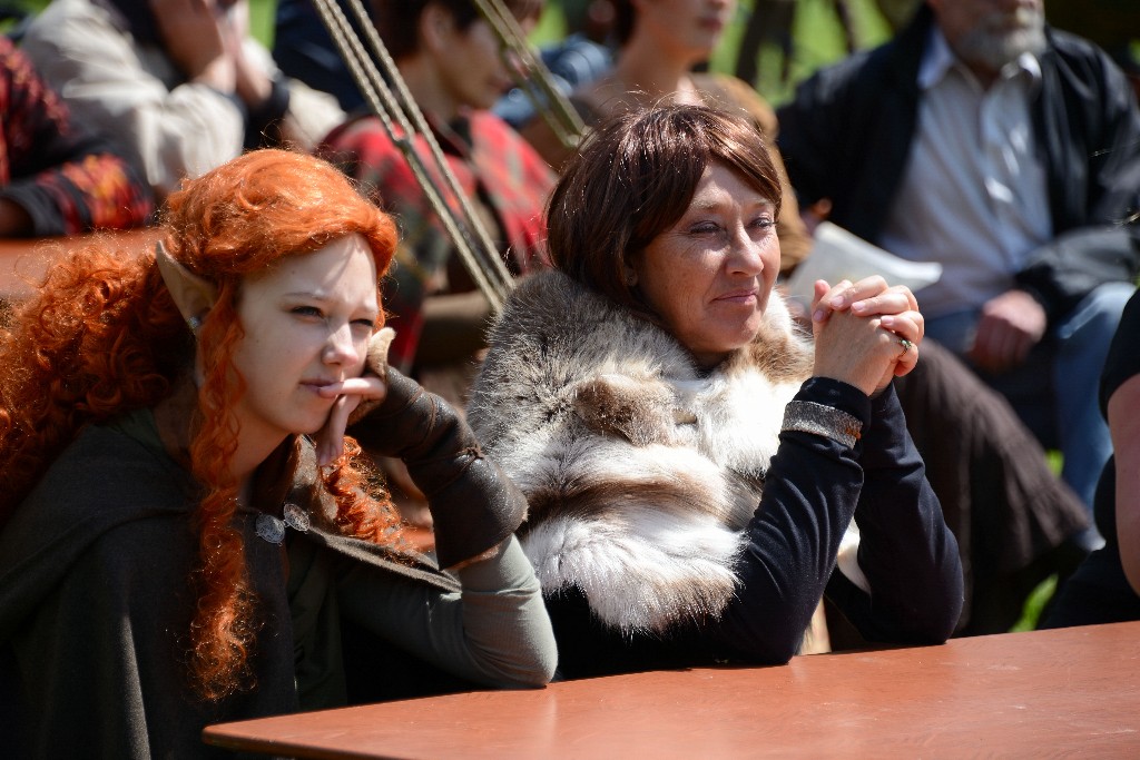 ../Images/Keltfest 2015 zaterdag 072.jpg